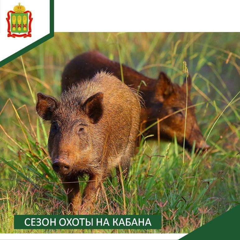 Внимание, охотники Пензенской области!